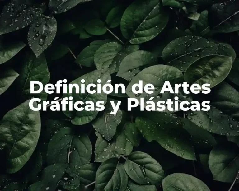 Definición de Artes Gráficas y Plásticas