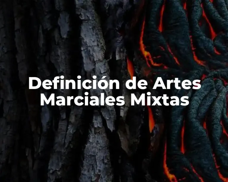 Definición de Artes Marciales Mixtas