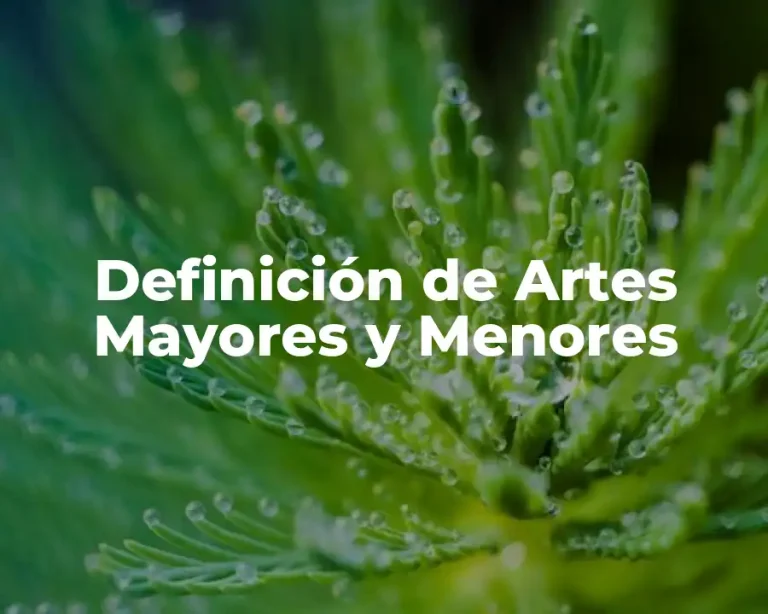 Definición de Artes Mayores y Menores