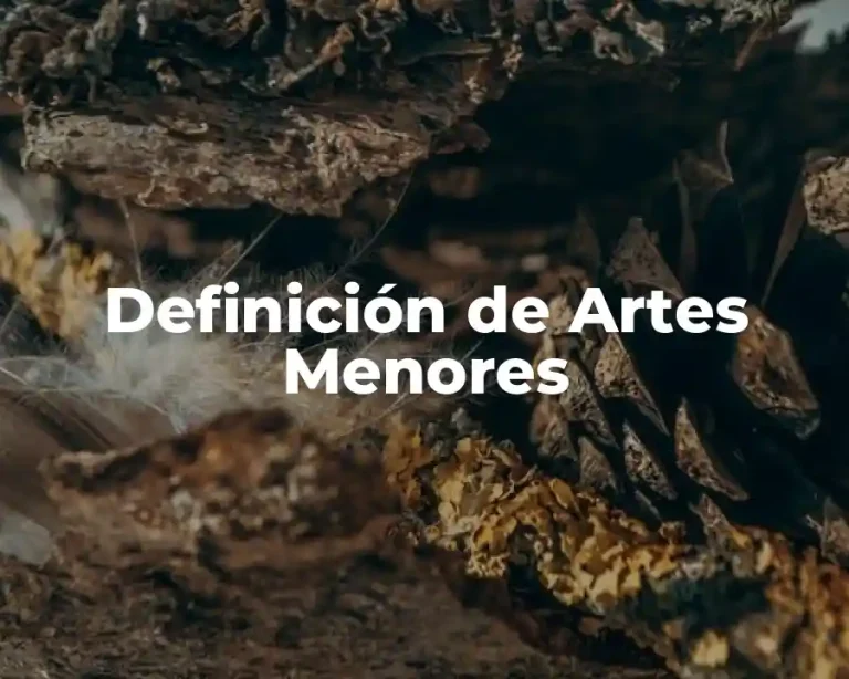 Definición de Artes Menores