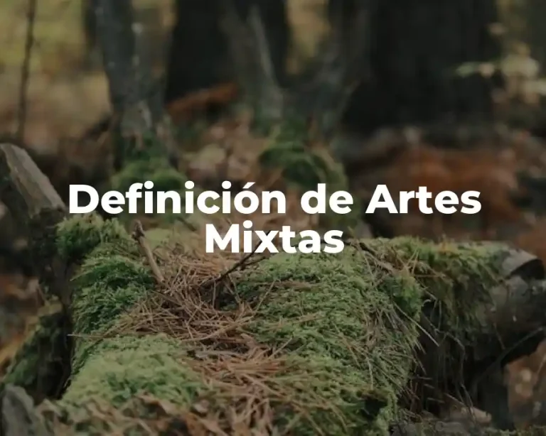 Definición de Artes Mixtas