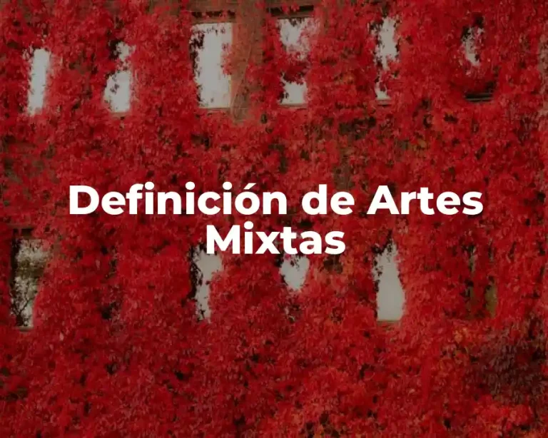 Definición de Artes Mixtas