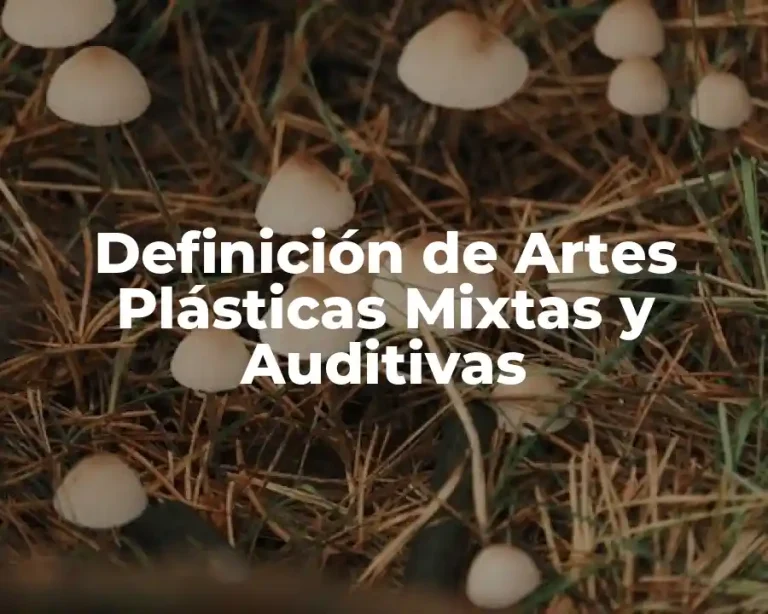 Definición de Artes Plásticas Mixtas y Auditivas