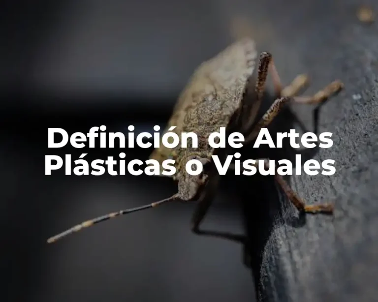 Definición de Artes Plásticas o Visuales