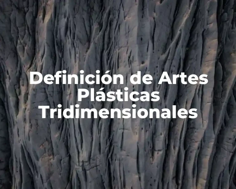 Definición de Artes Plásticas Tridimensionales