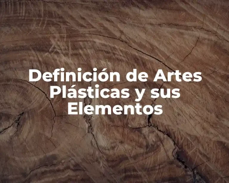 Definición de Artes Plásticas y sus Elementos