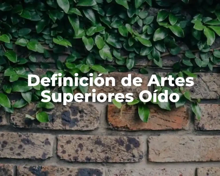 Definición de Artes Superiores Oído