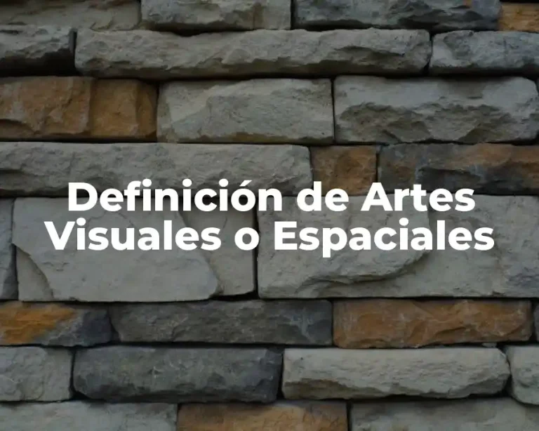 Definición de Artes Visuales o Espaciales
