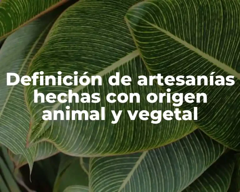 Definición de artesanías hechas con origen animal y vegetal