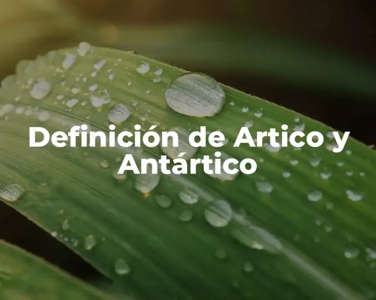 Definición de Artico y Antártico