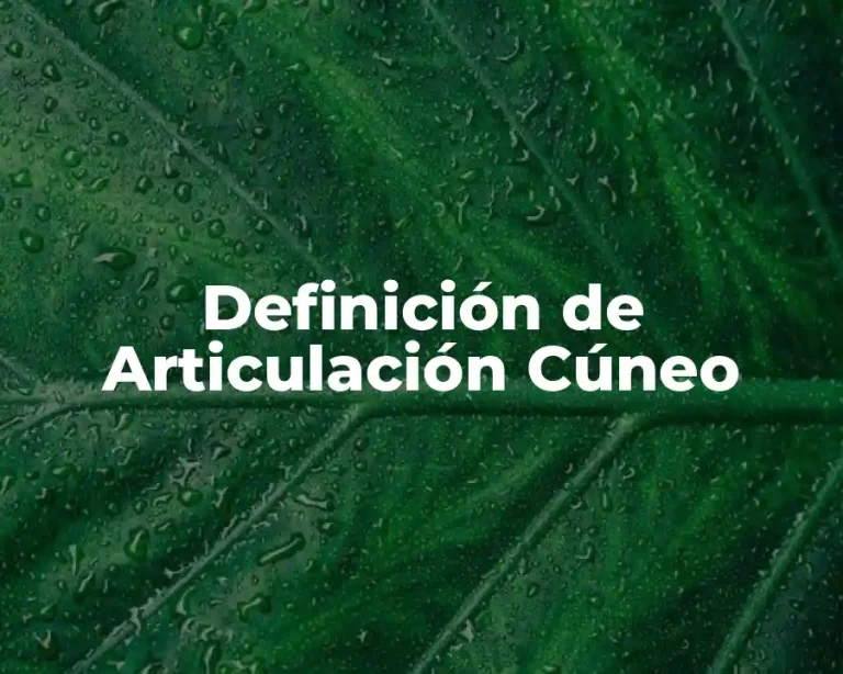 Definición de Articulación Cúneo