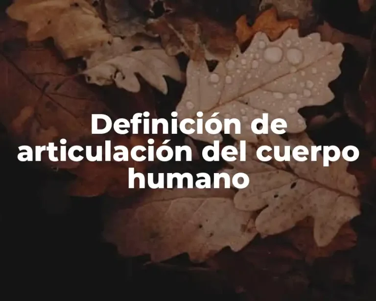 Definición de articulación del cuerpo humano