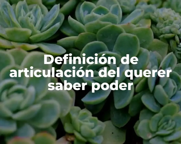 Definición de articulación del querer saber poder
