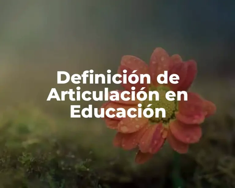 Definición de Articulación en Educación