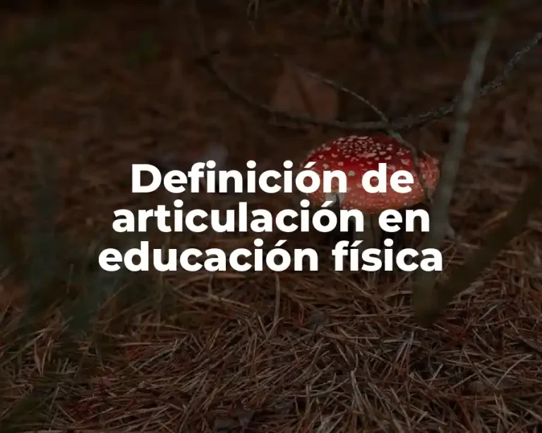 Definición de articulación en educación física