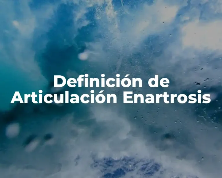 Definición de Articulación Enartrosis