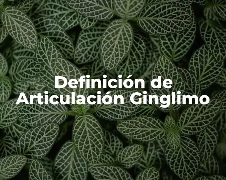 Definición de Articulación Ginglimo