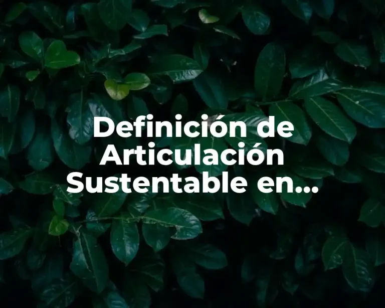 Definición de Articulación Sustentable en Educación