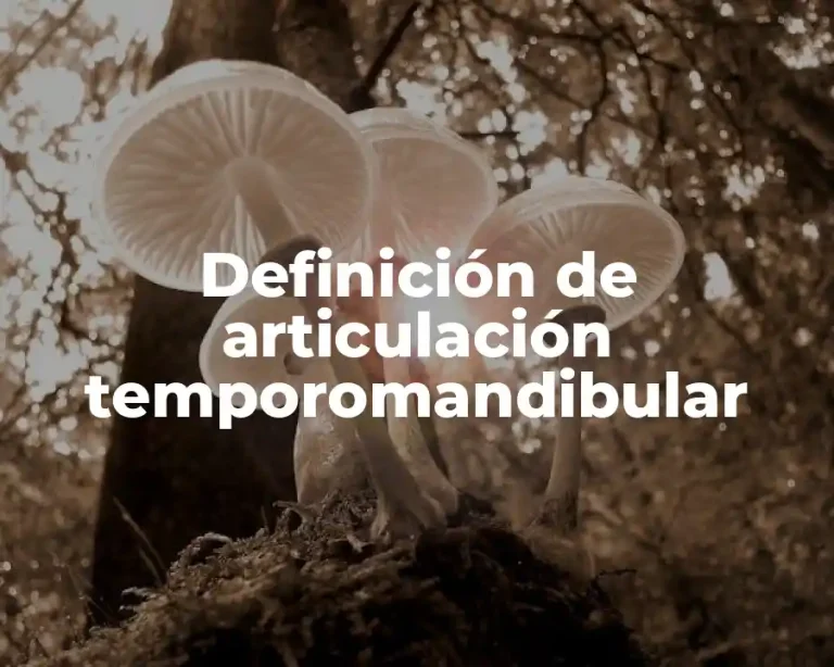Definición de articulación temporomandibular