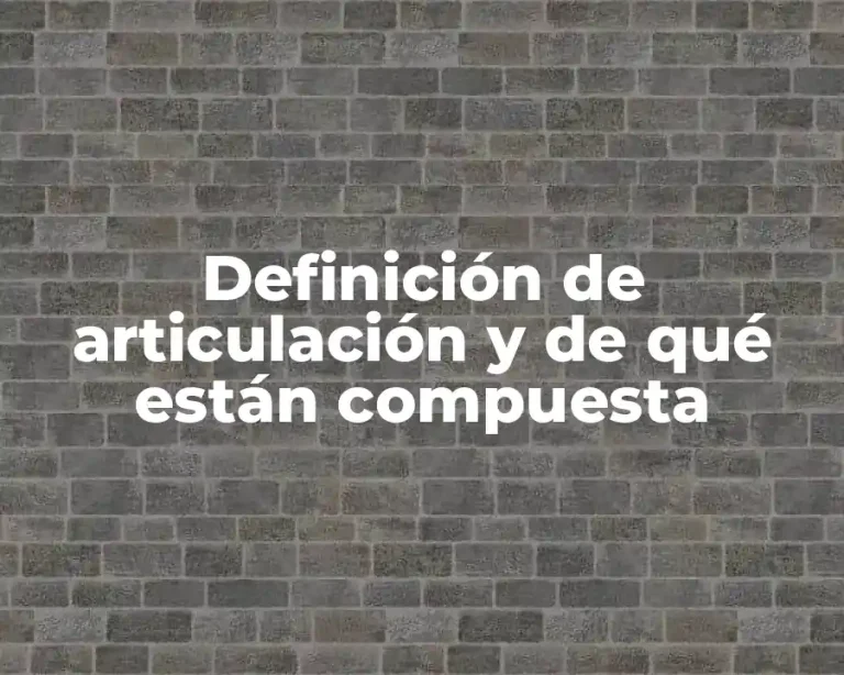 Definición de articulación y de qué están compuesta