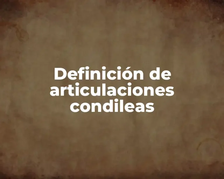 Definición de articulaciones condileas