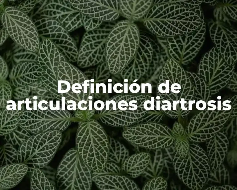 Definición de articulaciones diartrosis