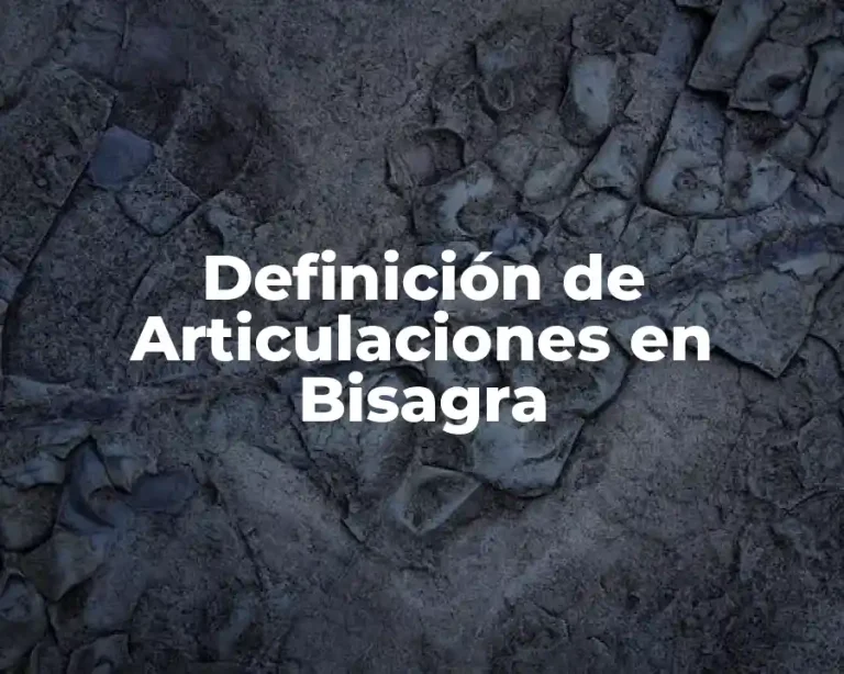 Definición de Articulaciones en Bisagra