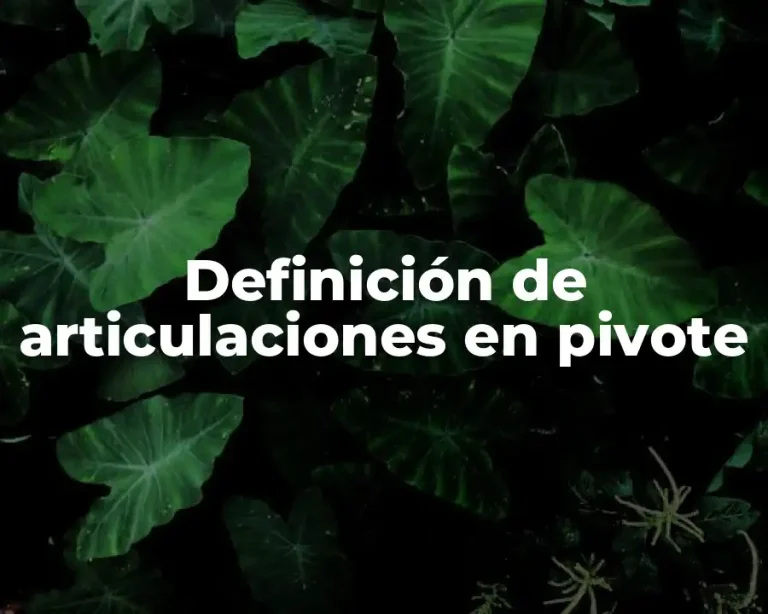 Definición de articulaciones en pivote