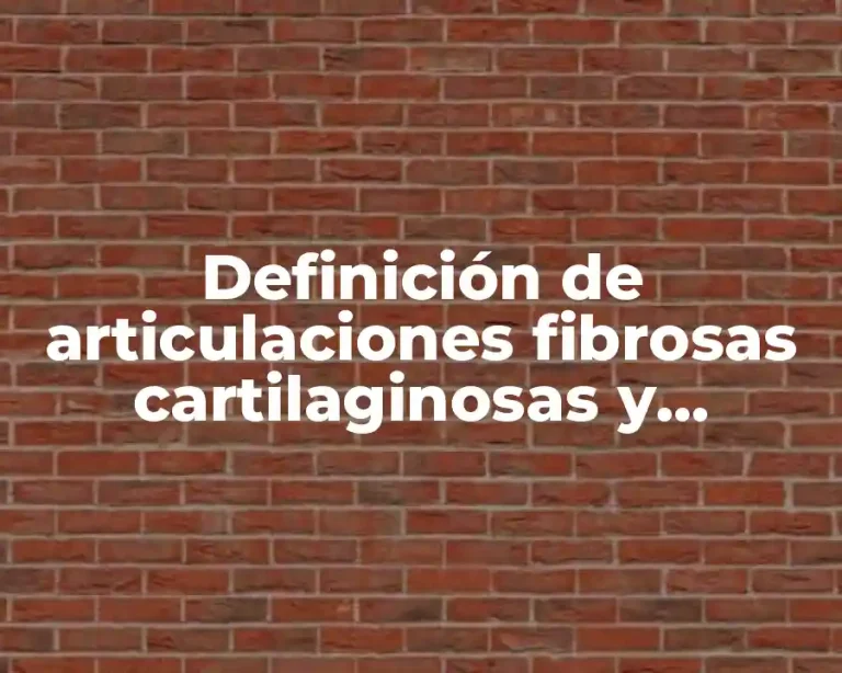 Definición de articulaciones fibrosas cartilaginosas y sinoviales en animales