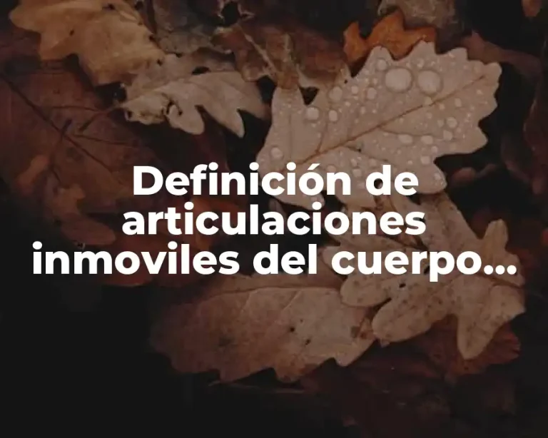 Definición de articulaciones inmoviles del cuerpo humano