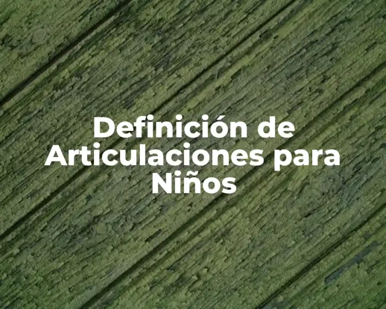 Definición de Articulaciones para Niños