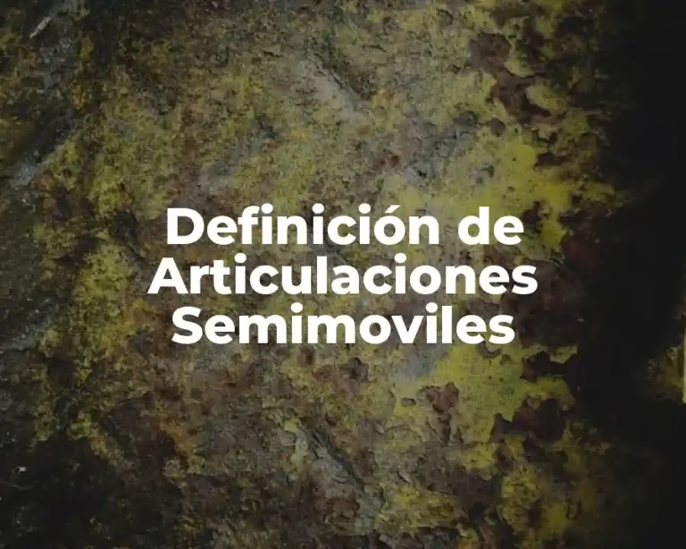 Definición de Articulaciones Semimoviles