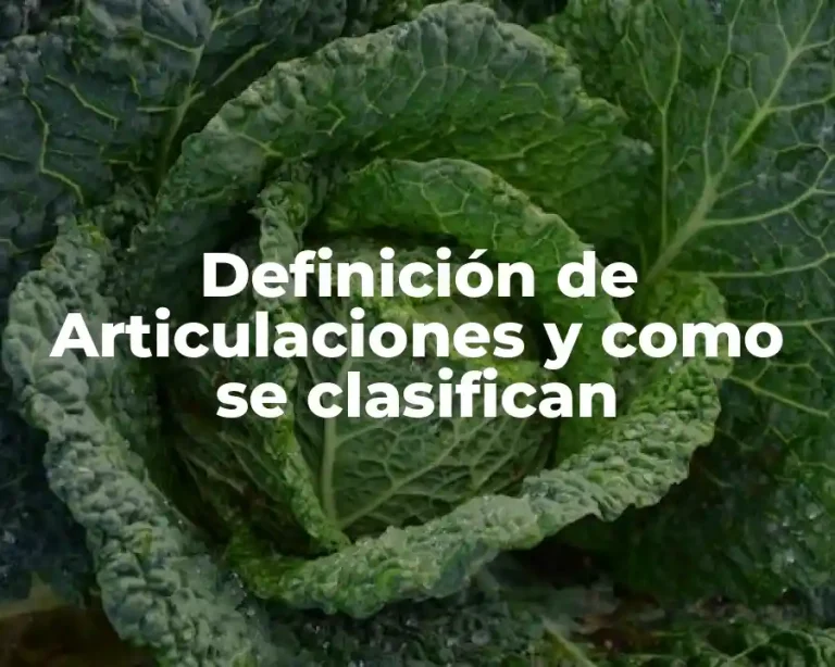 Definición de Articulaciones y como se clasifican