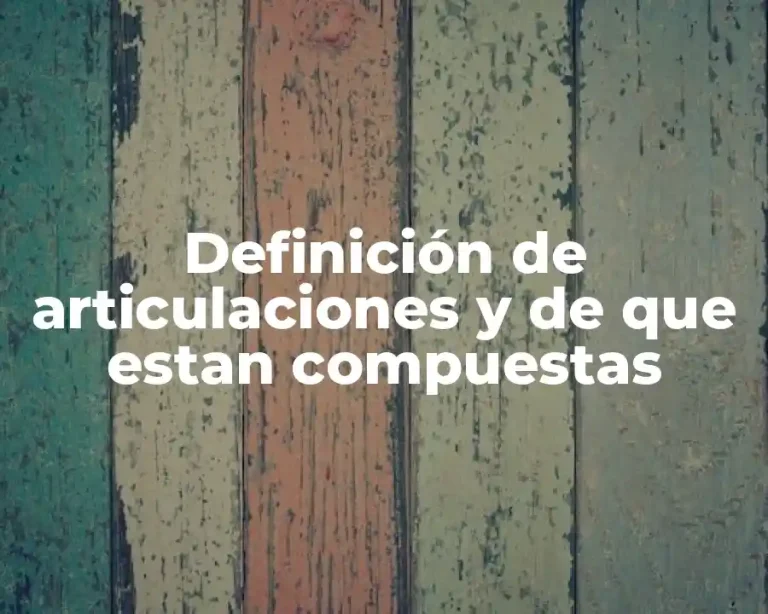 Definición de articulaciones y de que estan compuestas