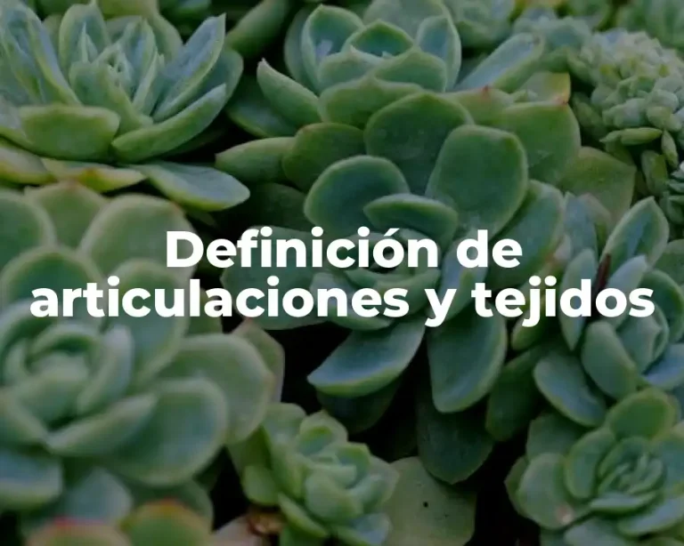 Definición de articulaciones y tejidos