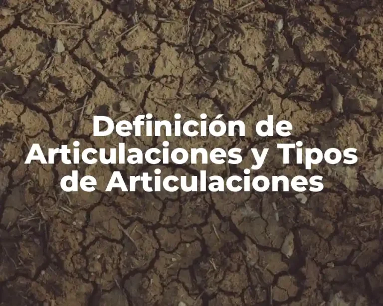 Definición de Articulaciones y Tipos de Articulaciones