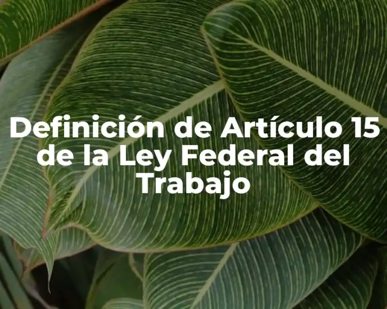Definición de Artículo 15 de la Ley Federal del Trabajo