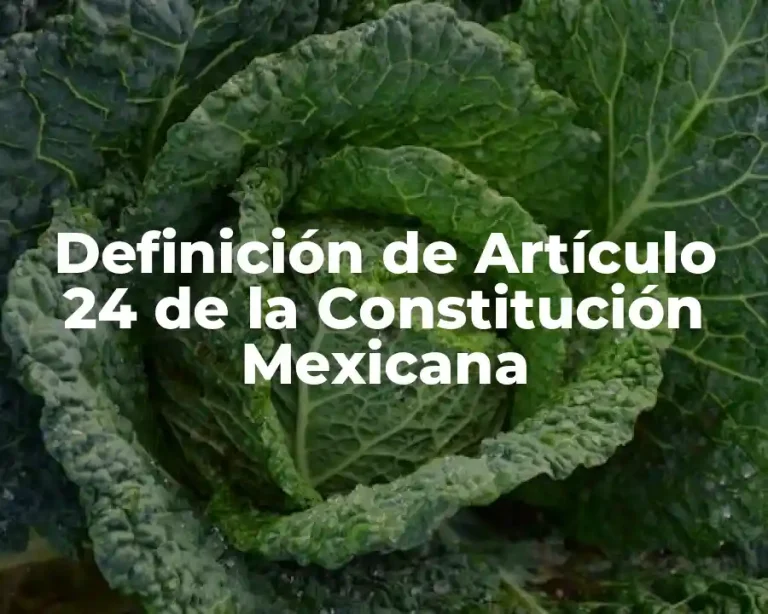 Definición de Artículo 24 de la Constitución Mexicana