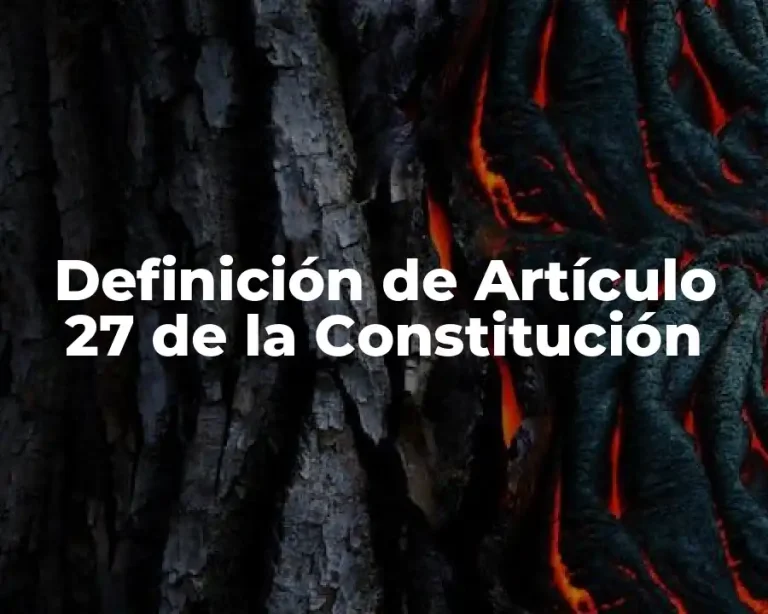 Definición de Artículo 27 de la Constitución