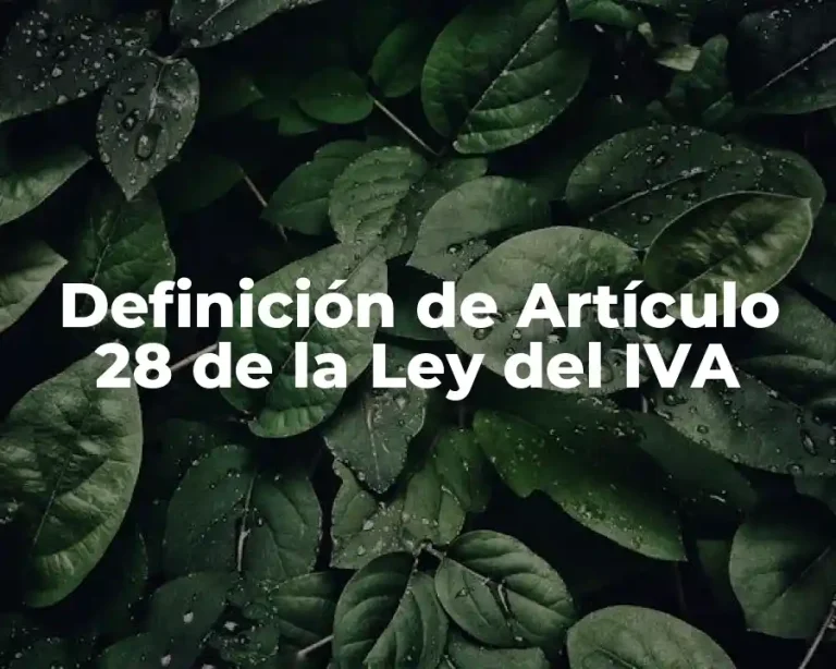 Definición de Artículo 28 de la Ley del IVA