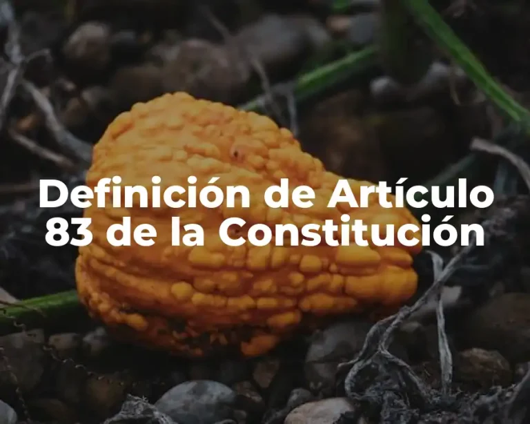 Definición de Artículo 83 de la Constitución