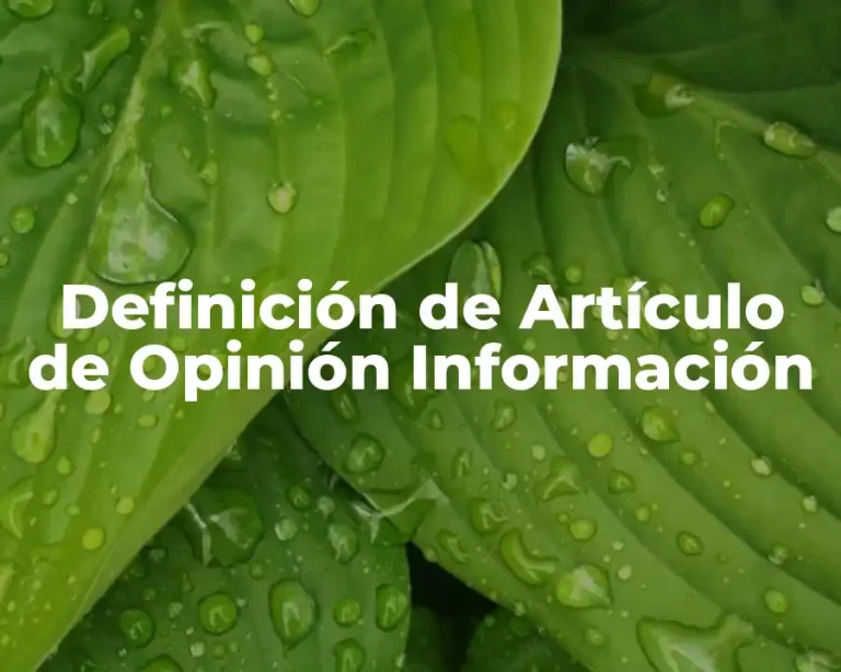 Definición de Artículo de Opinión Información
