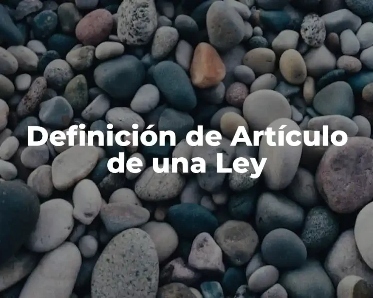 Definición de Artículo de una Ley