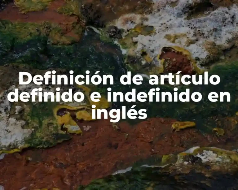 Definición de artículo definido e indefinido en inglés