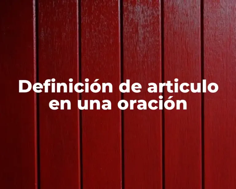Definición de articulo en una oración