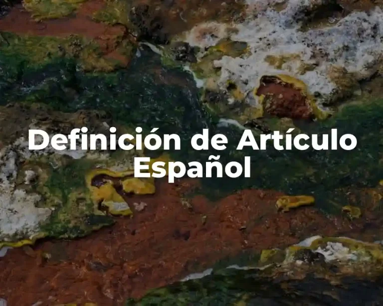 Definición de Artículo Español