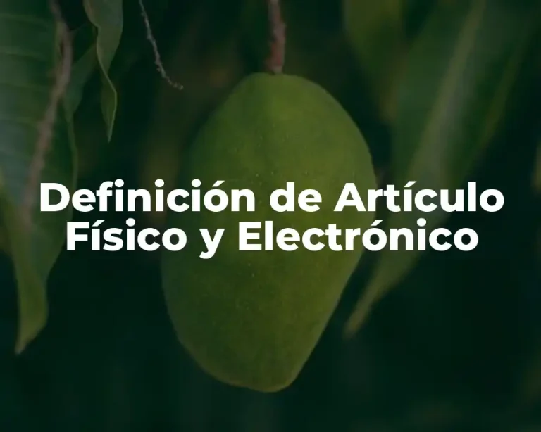 Definición de Artículo Físico y Electrónico