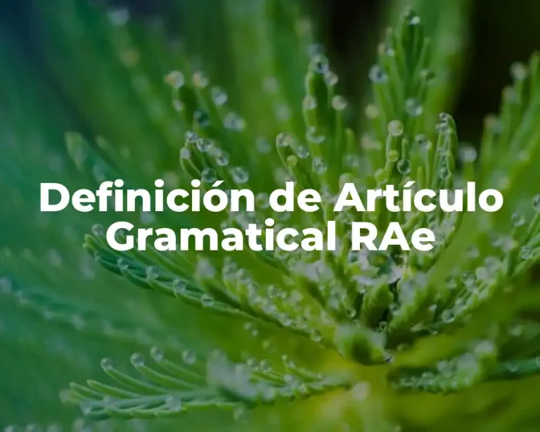 Definición de Artículo Gramatical RAe