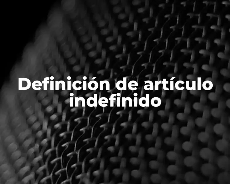Definición de artículo indefinido