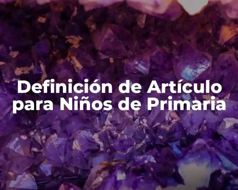 Definición de Artículo para Niños de Primaria